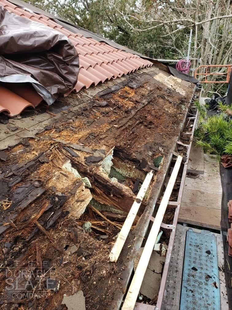 extensive wood rot, mildew, and damage to clay-tile roof house in charleston south carolina