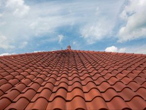 the roof of a building