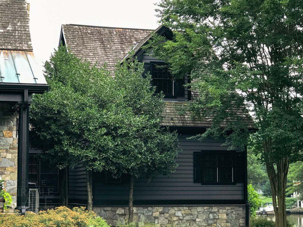 a tree in front of a building