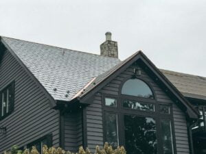 the roof of a building