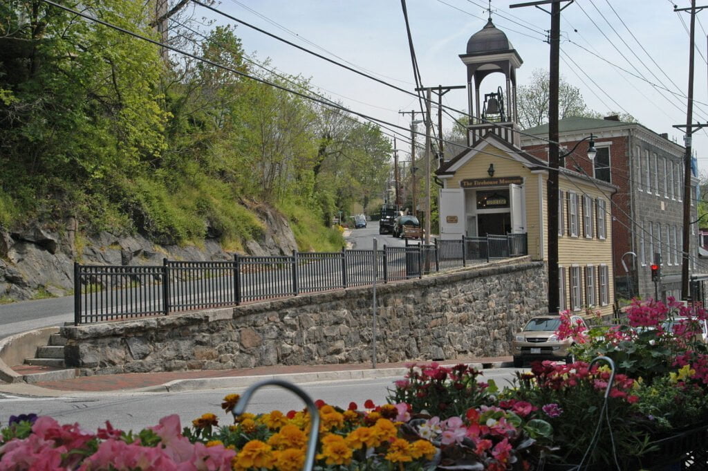 a close up of a flower garden